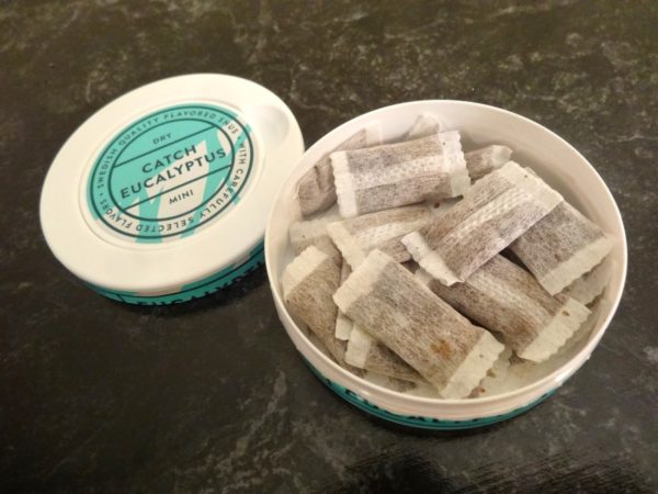 Catch Dry Eucalyptus Mini — изображение 2